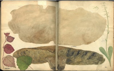 obr-1-b-1928-batos-dar-studie (4).jpg obr-1-b-1928-batos-dar-studie (4).jpg